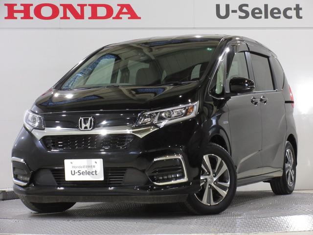 ե꡼ɥϥ֥å ϥ֥åɡǥۥ󥷥󥰡꡼ʥӣ£ɥ쥳ţԣãҥ󥪡ʡڸ֥졼 0561205A30251024W003 1