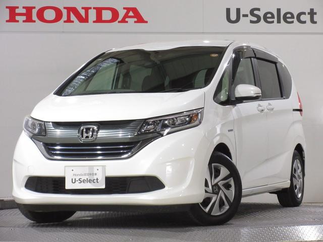 ե꡼ɥϥ֥å ϥ֥åɡǥۥ󥷥󥰡ʥӡҥ 0561205A30251102W010 1