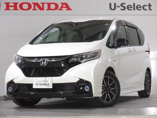 ե꡼ɥϥ֥å ϥ֥åɡǥ塼إۥ󥷥󥰡꡼ʥӣ£ţԣãҥ󥪡ʡȥ롼ȥ 0561205A30251102W020 1