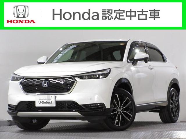 󥪡ʡر졡饭ǯݾ եȥ롡ʥӡꥢ顡ɥХ 1