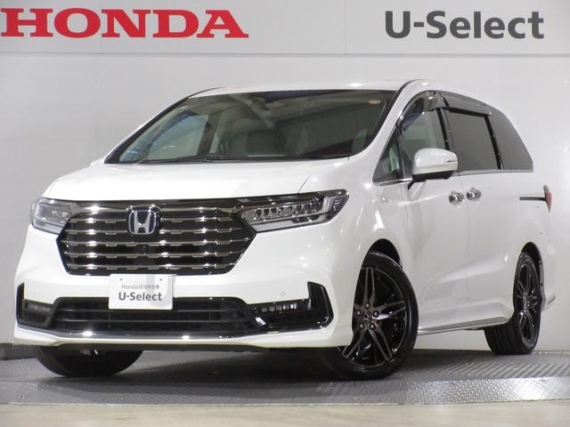 ǥåϥ֥å 塧ȣţ֥֥롼ȡ󥪡ʡʥӡե륻 0561205A30251114W009 1