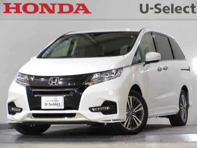 ۥ ǥå ֥롼ȡۥ󥷥󥰡꡼ʥӣ£ţԣãҥ󥪡ʡ¥