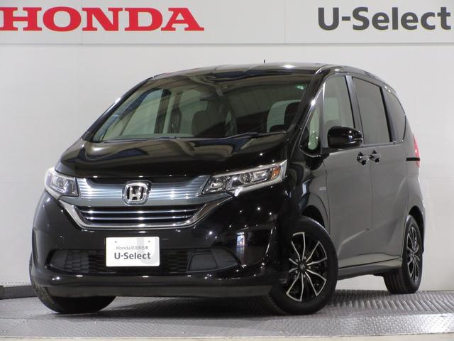 ե꡼ɥϥ֥å ϥ֥åɡǥۥ󥷥󥰡ѥ˥꡼ʥӣ£ţԣãҥ顡ڸ֥졼 0561205A30251129W002 1