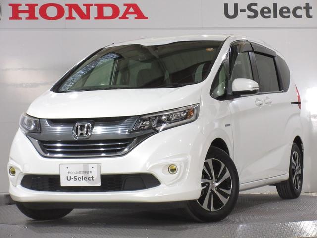 ʥӡȥҡդ Ҥˤƿ򤷡ʹȾǯȤƤư¿ 1