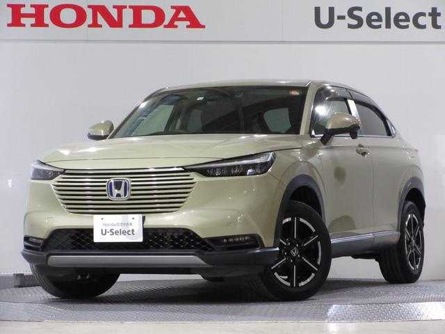  塧ȣţ֣ءޥܥեޥåȥۥ󥷥󥰥ۥͥȥǥץ쥤£ţԣãҥ󥪡ʡ㳲ʪ󥵡 0561205A30251202W005 1