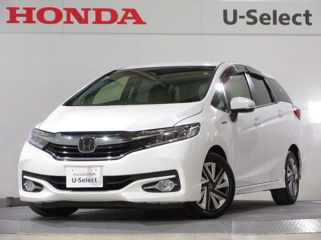 ʥС若 Ҥˤƿ򤷡ʹȾǯȤƤư¿ 1