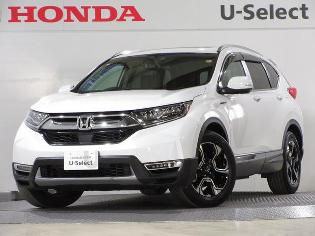 ż֤ǤΤŹϡʣ챺±ؤޤǤޤ˾夬ޤ ưѥΥߥå롼աܳץȡѥƥꥢ®쥯 1