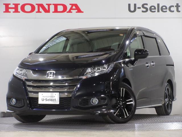 ǥåϥ֥å ϥ֥åɥ֥롼ȡۥ󥷥󥰣ţإѥå꡼ʥӣ£ţԣãҥ󥪡ʡξ¦ư饤ɥɥ 0561205A30251209W021 1