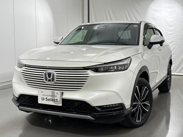 ۥ  塧ȣţ֣ڡ꡼ʥӡե륻ԣ֡Хå