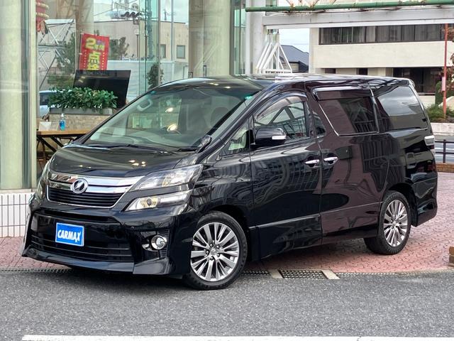 ŹΤ֤ˤ꤬Ȥޤ ʥ˥ʥӡԣ֡Хå顡եţԣáѥХåɥ 1