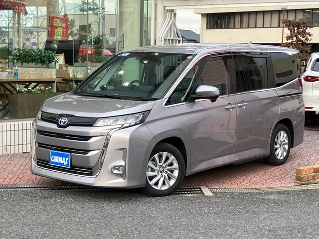 ȥ西 Υ ϥ֥åɣǡ;ꡡ˥С륹ƥåסã