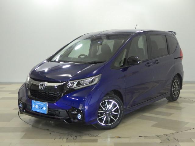 ե꡼ ǥ塼إۥ󥷥󥰡ر󥪡ʡʥӡե 0570013A30251019W004 1