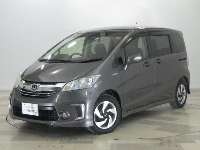 ۥ ե꡼ɥϥ֥å ϥ֥åɥץߥ२ǥ󡡶ر֡ʥӡꥢ