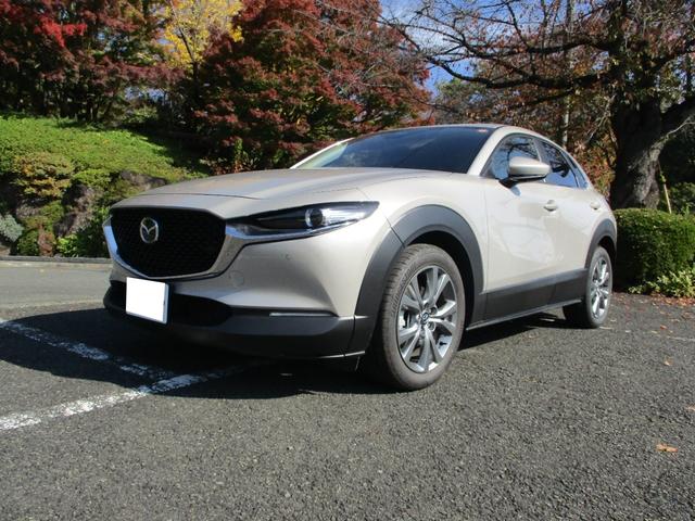 純正ナビ　バックカメラ　ＥＴＣ　プッシュスタート クルーズコントロール　メーカー新車保証継承　お電話で在庫確認をお願します