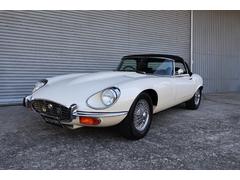 㥬ťסɥ꡼ޥ˥奢룴®ϥɥ