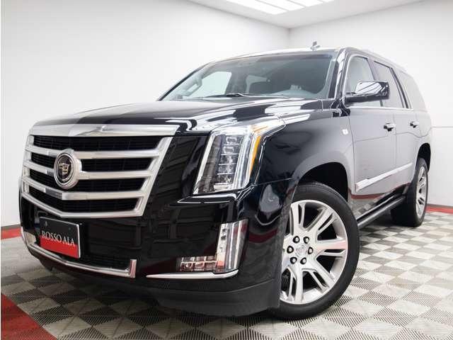 ǥå졼 ץߥ 0570800A30251026W020 1