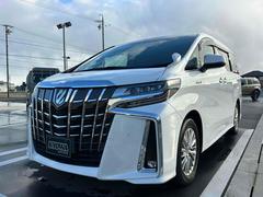 ����ե����ɥϥ��֥�å� �ӣҡ��åѥå�����