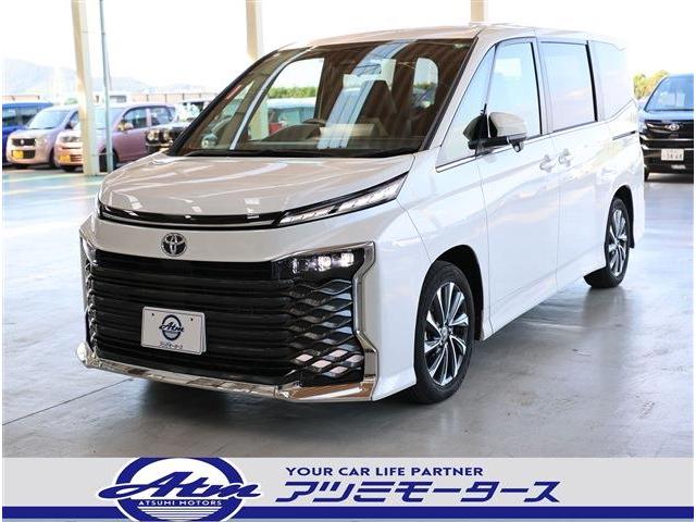  ӡݣڡե륻ʥӡХå顡ţԣã 0600508A30251109W003 1