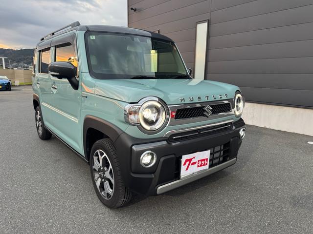  ϥ顼 ʥɣɥܡ̥˥դʥӡǥ奢륫֥졼ݡȡե꡼