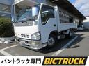 ISUZU ELF TRUCK