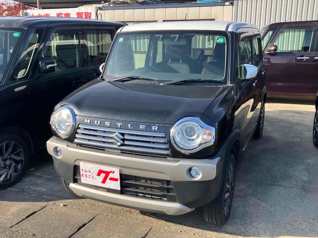  ϥ顼 ʥɣɡʥӡԣ֡졼󥢥