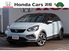 �ۥ�����ե��åȡ��塧�ȣţ֥�������������󥪡��ʡ��ر�ֽ����ʥӥХå������ţԣá����Ͳ��򥷥��ƥࡡ�������ʡ�