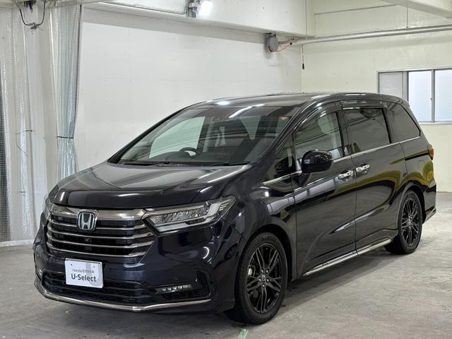 ǥåϥ֥å 塧ȣţ֥֥롼ȡţءʥӥե륻ޥӥ塼ţԣạ̃ţģץåɥ쥹ưҥ 0620030A30251106W006 1