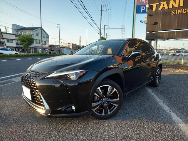 ＵＸ２５０ｈ　バージョンＬ