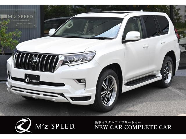 TX Lパッケージ ZEUS新車カスタムコンプリートカー・エアロ(3点)・フロントグリル・ダウンサス・20インチAW・T-Connectナビ・マルチレインモニター・電動ムーンルーフ(1枚目)
