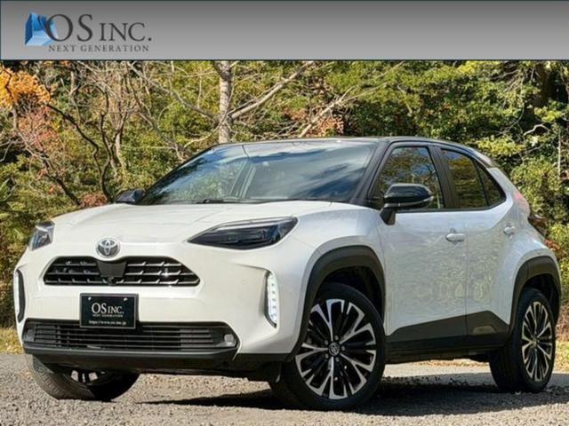 ȥ西 ꥹ ϥ֥åɣڡǥץ쥤ǥͷڸ졼롼