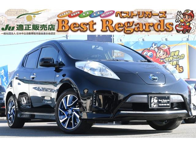 日産 リーフ Ｘ　エアロスタイル（２４ｋｗｈ）　１０セグメント　全席Ｓヒーター　ステアリングヒーター　オートクルーズ　純正フルセグナビ　Ｂカメラ　ＥＴＣ　Ｐスタート　スマキー２本　Ｂｌｕｅｔｏｏｔｈ対応　純正１７ＡＷ　ステアリモコン