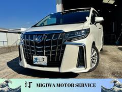 ȥ西եɡӡʥӡر֡ξ¦ư饤ɥɥ