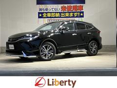 ȥ西ϥꥢǡǥץ쥤ǥХå顡ţԣ