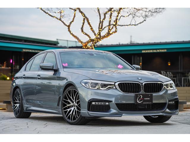 ＢＭＷ ５シリーズ ５２３ｉ　Ｍスポーツ　エナジーコンプリートカーＥＶＯＧ３０　２　ハイラインパッケージ　ブラックレザーシート　アダプティブＬＥＤライト　オートトランク　ハイビームアシスト　アクティブクルーズコントロール　エナジータイプ５