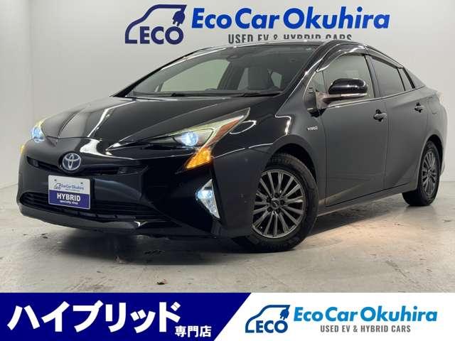 ȥ西 ץꥦ ӥեƥץ饹ӣĥʥӡե륻ԣ֡Хå