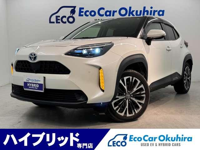 ץꥦ󥿡嶹ԡΡ ˣ̵ݾդ¿ŵޤ 1