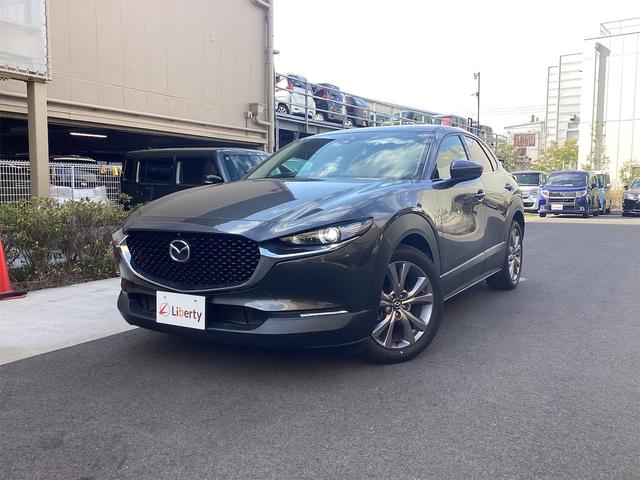 bw|RO(}c_) QOr@vANeBu@hCuR[_[@dsb@S̓J@NAX\i[@I[gN[YRg[@[AVXg@Փ˔QyVXe@ir@su@I[gCg@kdcwbhv@dAQ[g Îԉ摜