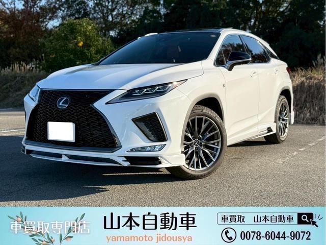 LEXUS RX RX300 F SPORT