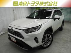 トヨタ　ＲＡＶ４　Ｇ　Ｚパッケージ　フルセグメモリーナビ＋バックモニター