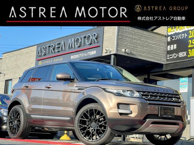 ɥС 󥸥С ԥ奢£衡Хå顡ţԣ