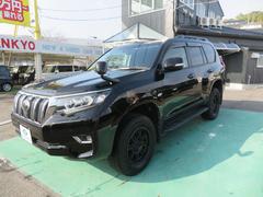 ランドクルーザープラド TX 衝突軽減装置 サンルーフ ナビ TV Bカメラ 外アルミ オートクルーズコントロール LEDライト ETC ワンオーナー純正AWあり 中古車画像
