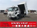 フォワード 深ダンプ・６ＭＴ・土砂禁・２．８５ｔ積・Ｂカメラ付　深ダンプ・６ＭＴ・土砂禁・２．８５ｔ積・Ｂカメラ付・坂道発進補助装置・左電格ミラー・フォグランプ・荷台内寸　Ｌ３３９０　Ｗ２０３７　Ｈ１５３１（1枚目）