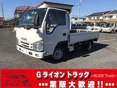 エルフトラック 荷台鉄板張・10尺平・低床・5MT・1.5t積 荷台鉄板張・10尺平低床・5MT・1.5t積・歩み掛け・ASR・キーレス・Wタイヤ・ドアバイザー・アイドリングストップ・荷台内寸 L3116 W1622 H378 中古車画像