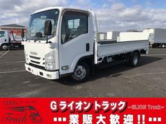 いすゞ　エルフトラック　垂直ゲート　標準ロング　平　荷台鉄板張り