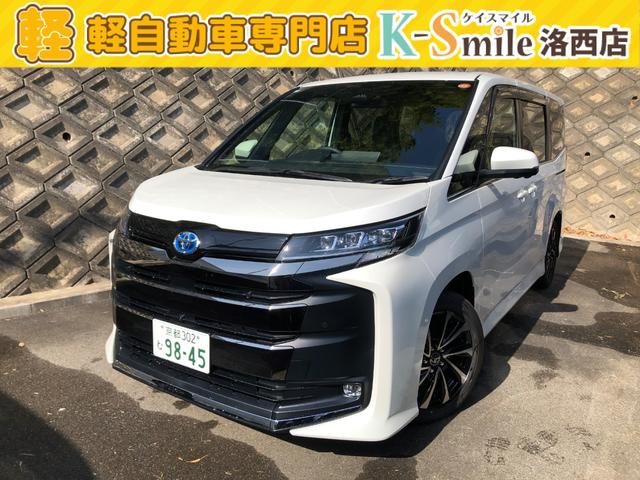 ȥ西 Υ ϥ֥åɣӡݣڡȥ롼ȥ롡졼󥢥ȡﳲڸƥ