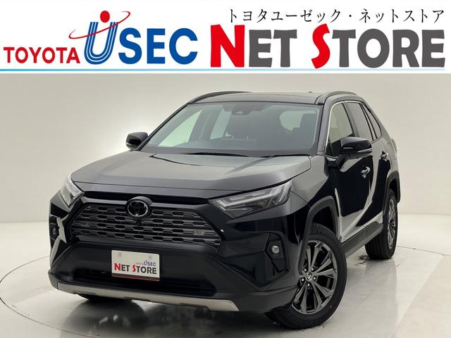 ＲＡＶ４(トヨタ) ハイブリッドＧ　雹害　Ｔコネクトナビ　全方位カメラ　ＢＳＭ　ＥＴＣ２．０　パノラマムーンルーフ　フルセグＴＶ　シートヒーター／ベンチレーション　デジタルインナーミラー　ＬＥＤヘッドライト　ＡＣ１００Ｖ電源　４ＷＤ 中古車画像