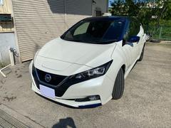 日産　リーフ　Ｘ　１０万台記念車　メーカーナビ　プロパイロット付き