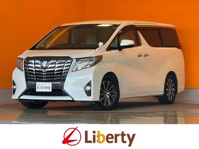 バックカメラ付！あなたの駐車をサポート☆ 後席モニター　パワーシート　オットマン　ＣＶＴ　アルミホイール　ＣＤ