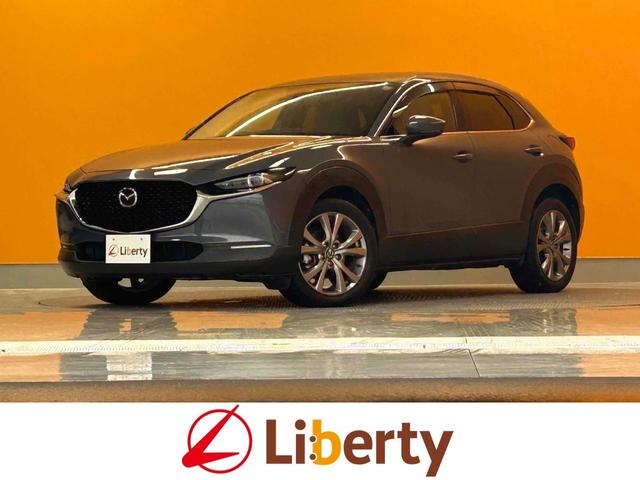 静止物接近をブザーでお知らせ！クリアランスソナー♪ ＬＥＤヘッドランプ　電動リアゲート　アルミホイール　スマートキー　ＡＴ