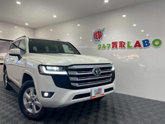 hN[U[(g^) `w@Vl^T[t^hR^dsb^aڑ^Sʃj^[^obNJ^dV[g^A_veBuN[YRg[ Îԉ摜